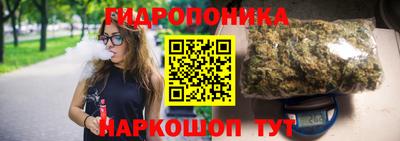амф Камышлов