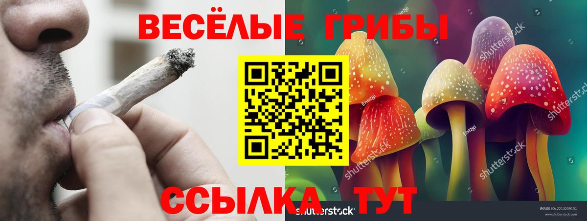 Галлюциногенные грибы GOLDEN TEACHER  Вход с VPN  Крымск 